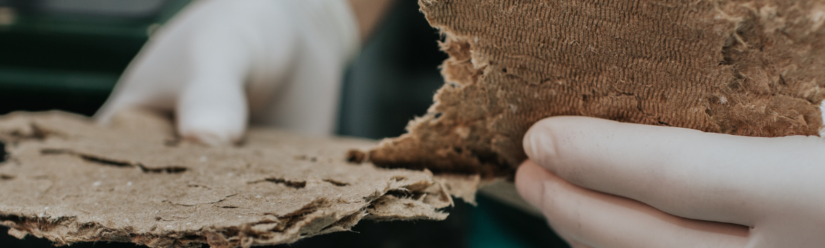 O QUE A SUA EMPRESA FAZ PARA SER MAIS SUSTENTÁVEL?