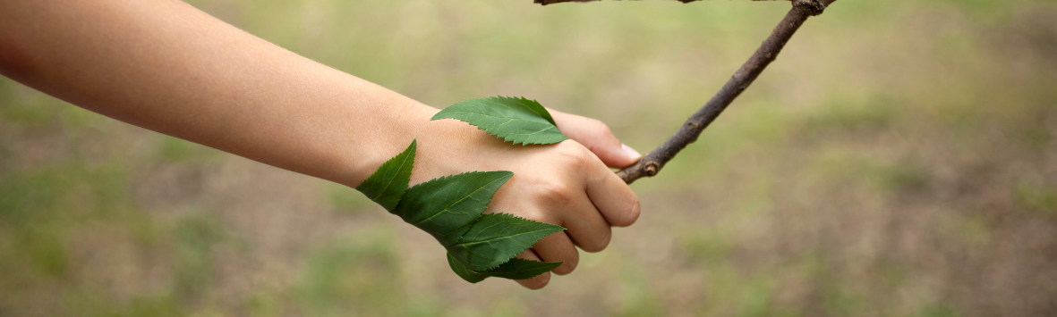 O QUE A REVITA REPRESENTA PARA O MEIO AMBIENTE?