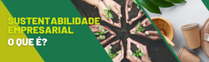 RESPONSABILIDADE AMBIENTAL DENTRO DAS EMPRESAS